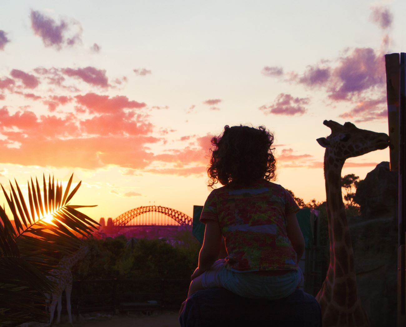 Taronga After Dark